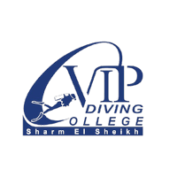 VIP Diving College